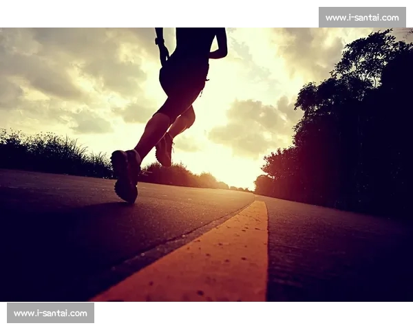 《全球体育大视野：全面解析各大赛事背后的精彩故事与运动员奋斗历程》